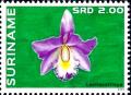 Colnect-4220-900-Laeliocattleya.jpg