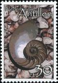 Colnect-1016-663-Nautilus-shell.jpg