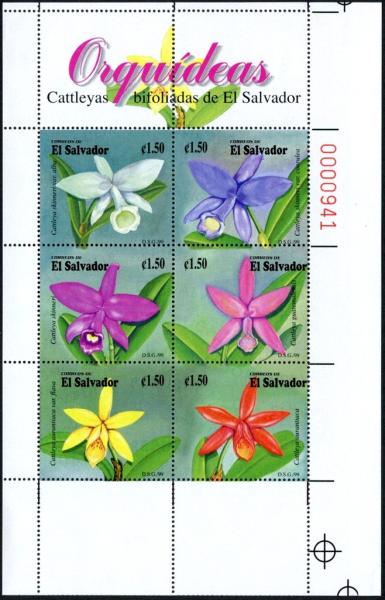 Colnect-3191-824-Native-orchids.jpg
