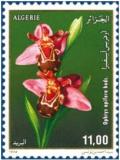 Colnect-1748-142-Ophrys-apifera.jpg