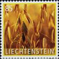 Colnect-3976-807-Oats-Avena-sp.jpg
