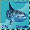Colnect-5727-071-Ocean-Sunfish.jpg