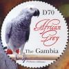 Colnect-1721-806-African-Grey-Parrot-Psittacus-erithacus.jpg