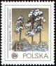 Colnect-1964-867-Scotch-pine-Pinus-sylvestris.jpg