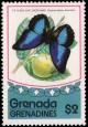 Colnect-2343-982-Lartes-Prepona-Prepona-laertes-ssp-demodice.jpg