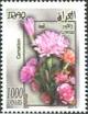 Colnect-2566-017-Pink-dianthus.jpg