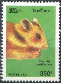 Colnect-2790-093-Rat-Rattus-sp.jpg