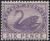 Colnect-2742-911-Black-Swan-Cygnus-atratus.jpg