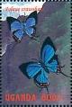 Colnect-2631-386-Crawshay-s-Sapphire-Iolaus-crawshayi.jpg