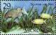 Colnect-5576-624-Seagrass-fish.jpg