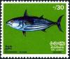 Colnect-4035-160-Skipjack-Tuna-Katsuwonus-pelamis.jpg