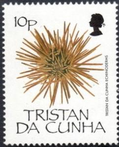 Colnect-2606-256-Sea-Urchin-Echinoidea.jpg