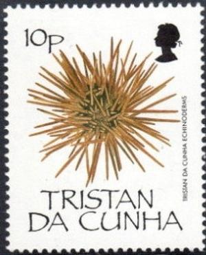 Colnect-2606-256-Sea-Urchin-Echinoidea.jpg