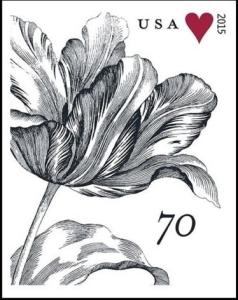 Colnect-4225-279-Vintage-tulip.jpg