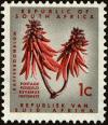 Colnect-4014-288-Kafferboom-Flower--Coral-Tree-Erythrina-lysistemon.jpg